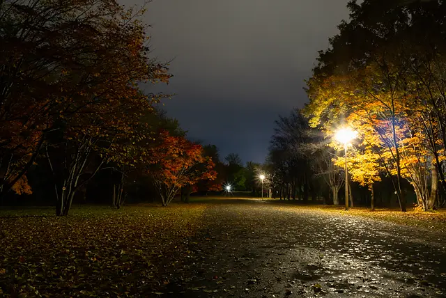 秋の夜の真駒内公園