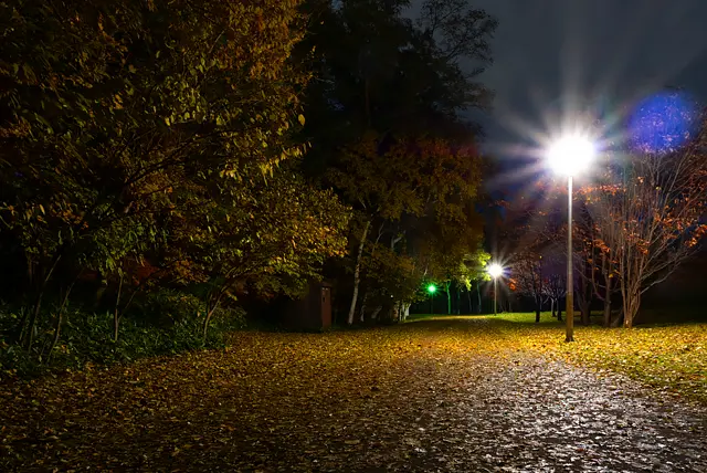 秋の夜の真駒内公園