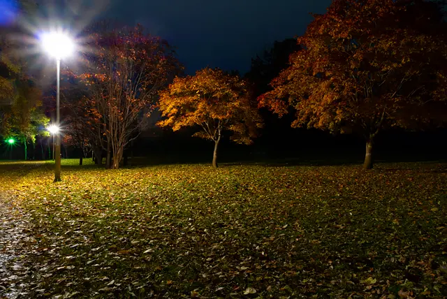 秋の夜の真駒内公園