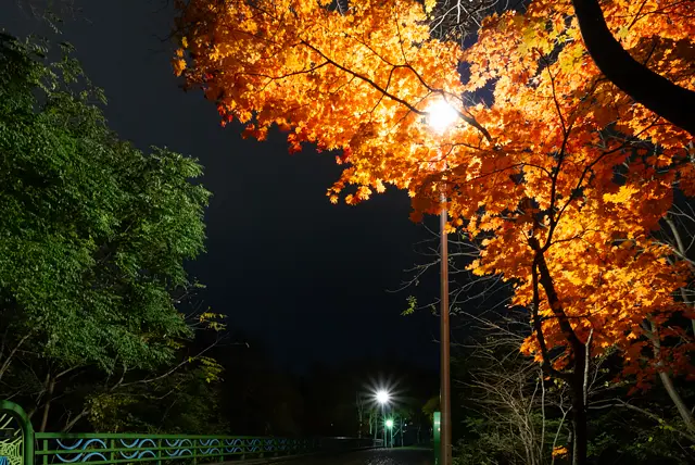 秋の夜の真駒内公園