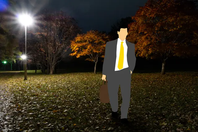 照明のある場所の紅葉しか見えません。