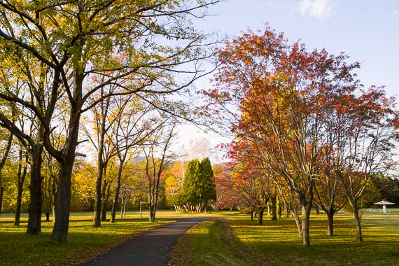 真駒内公園の紅葉