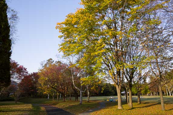 真駒内公園の紅葉