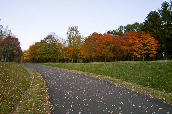 真駒内公園の紅葉