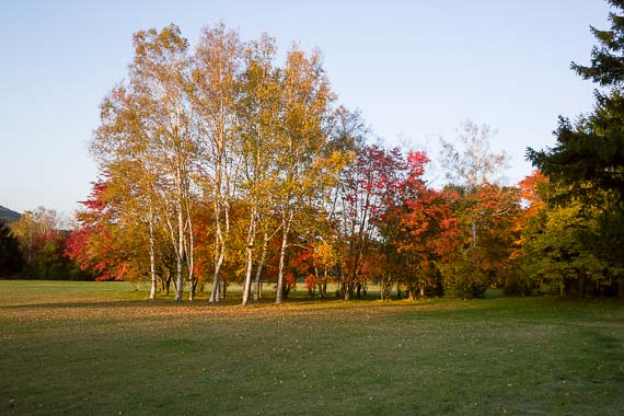 真駒内公園の紅葉