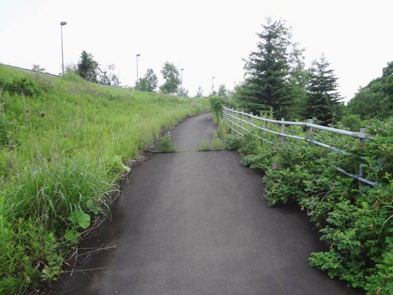 歩道を上がっていく