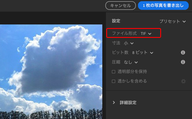 「ファイル形式」を「TIF」に設定