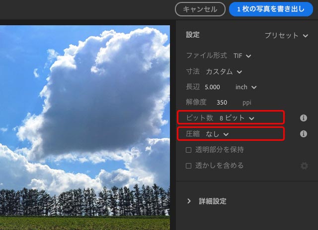 「ビット数」「圧縮」の設定