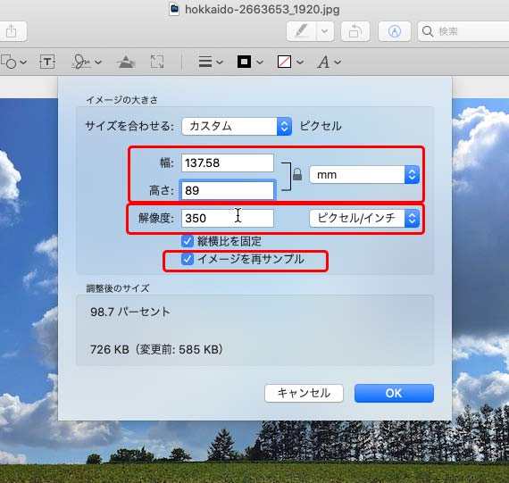 「イメージを再サンプル」にチェックを入れ、解像度、寸法を一度に設定