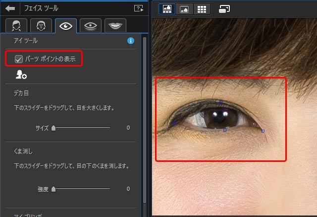 「パーツ  ポイント」にチェックを入れ、目の周りにポイントが表示されることを確認