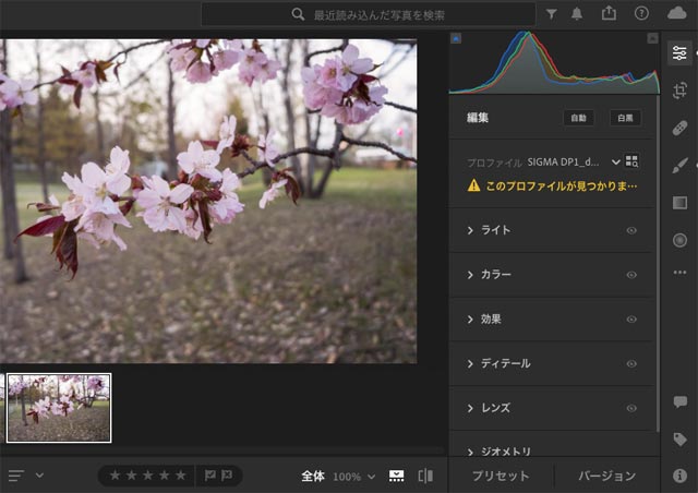 Lightroomで表示されている編集済みの写真（これはCameraRawで編集した状態が反映されている例）