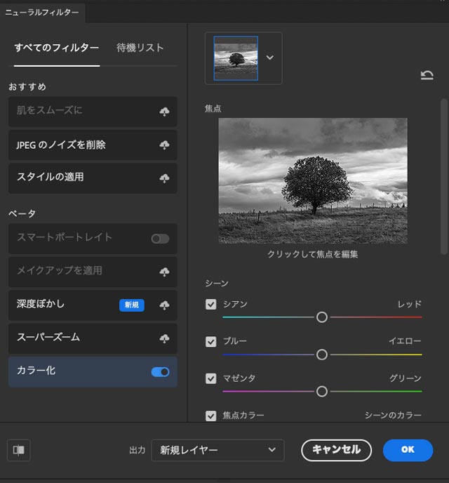 「カラー化」にチェックを入れる