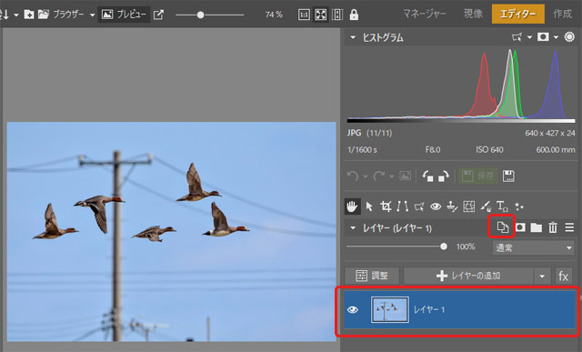 画像本体のレイヤーを複製