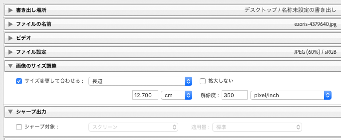 「画像のサイズ調整」の欄でサイズや解像度を設定