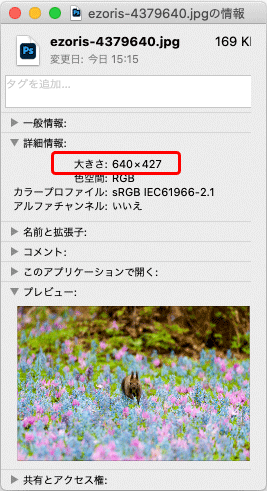 Macのプロパティで画像データの幅を確認