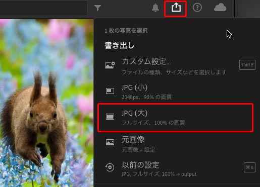 JPG（大）のプリセット