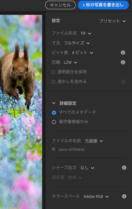 書き出し後に別ソフトで画像編集作業を続けたい場合の書き出し設定の一例