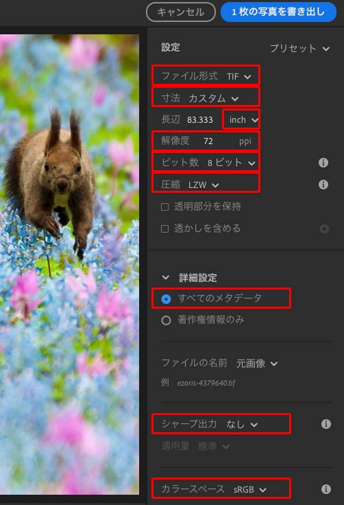 TIFで保存する場合の画像の書き出し設定例