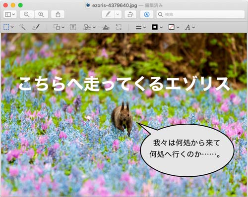 Macの「プレビュー」で写真に文字と図形を乗せた例