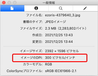 「一般情報」に表示された画像データの設定上の解像度