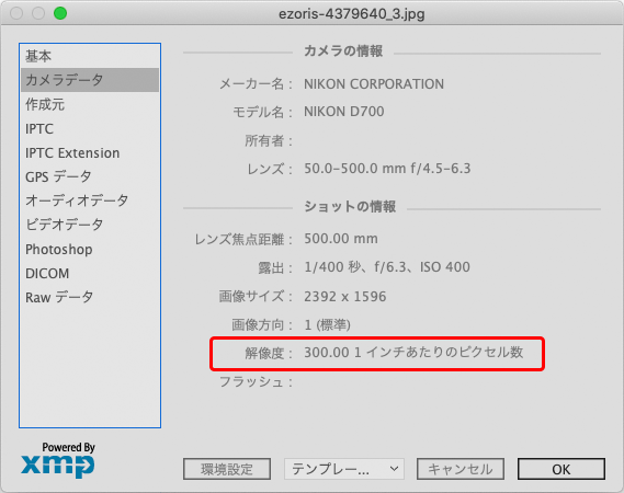 ファイル情報の画面