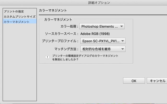 Photoshop Elementsの「プリント」の「詳細オプション」の設定例