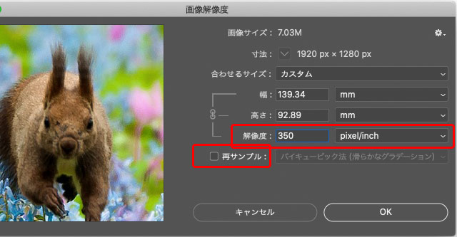 「再サンプル」のチェックを外し、解像度を入力