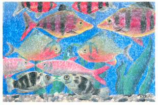 手すき紙の絵葉書「熱帯魚」（手描き絵画・イラストをプリント）No60059