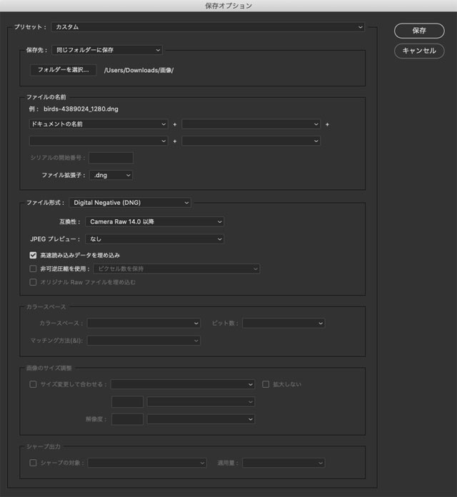 「保存オプション」の画面