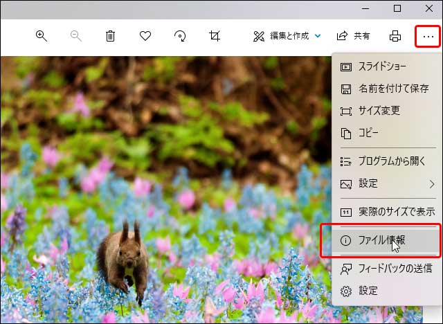 右上の三点リーダーのようなマークからメニューを表示して「ファイル情報」へ進む