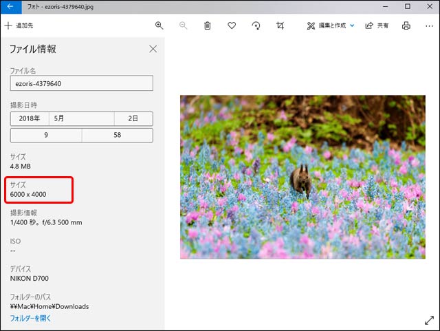 「ファイル情報」で画像データの絶対的なサイズが分かる