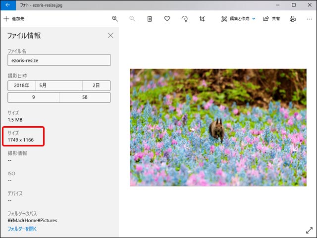 サイズ変更後の画像データのファイル情報を確認