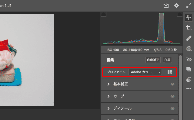 現在適用されているカメラプロファイルの表示欄