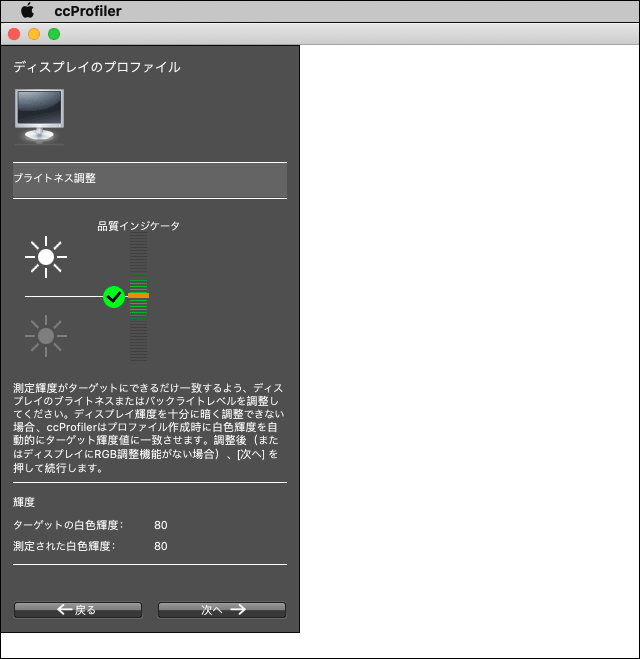 輝度の手動調整の作業画面