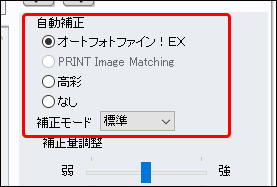 E-Photo の自動色補正の設定欄の例