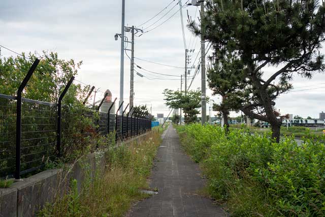 歩道は一応整備されている