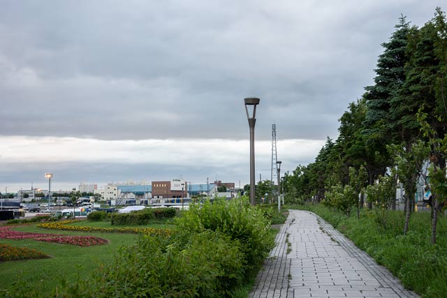 キラキラ公園の中を通る