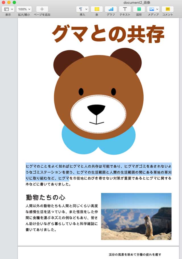 １枚の画像をPDFに変換し、Macの「Pages」で開いた結果