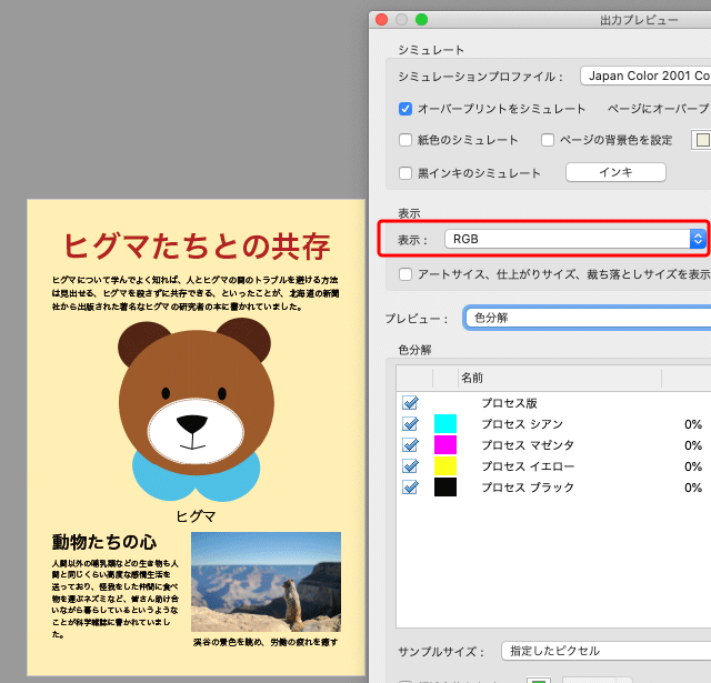 「出力プレビュー」で「表示：RGB」にした状態