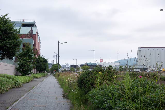 ウィングベイ小樽の横の海沿いの歩道
