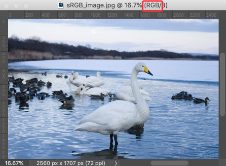 PhotoshopでRGBの画像を開いた場合