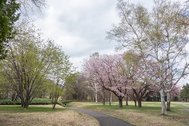 真駒内公園(5月)
