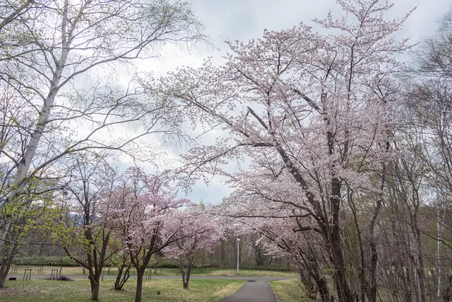 真駒内公園(5月)