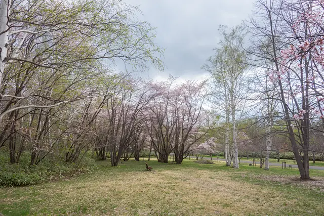真駒内公園(5月)