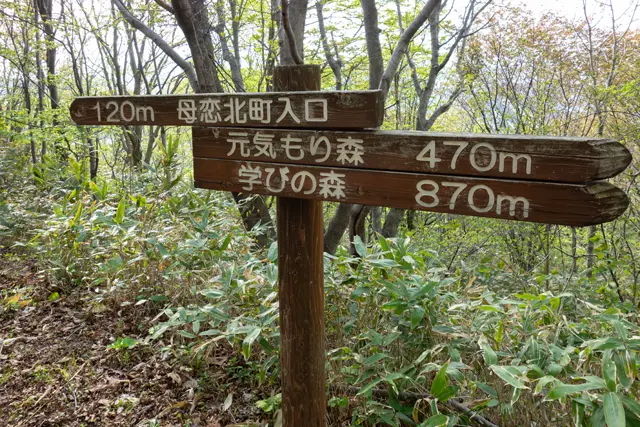 登山道の分岐の看板