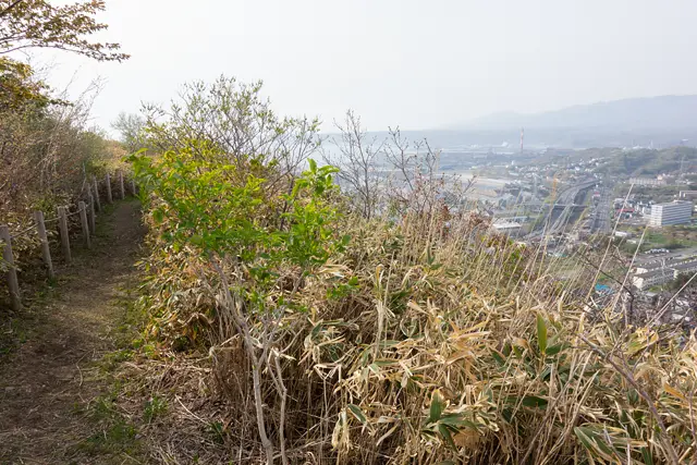 母恋富士の登山道