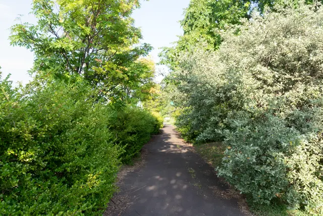 歩道
