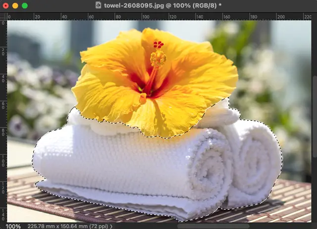 多角形選択ツールで選択した例