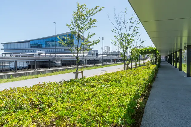 東京国際クルーズターミナルへ続く道