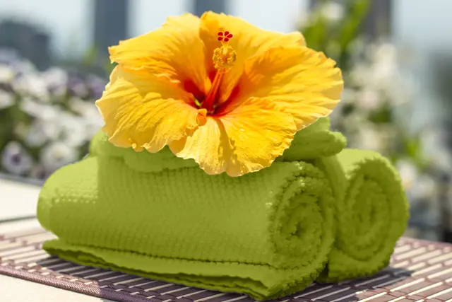 レベル補正で明るさを調整した状態